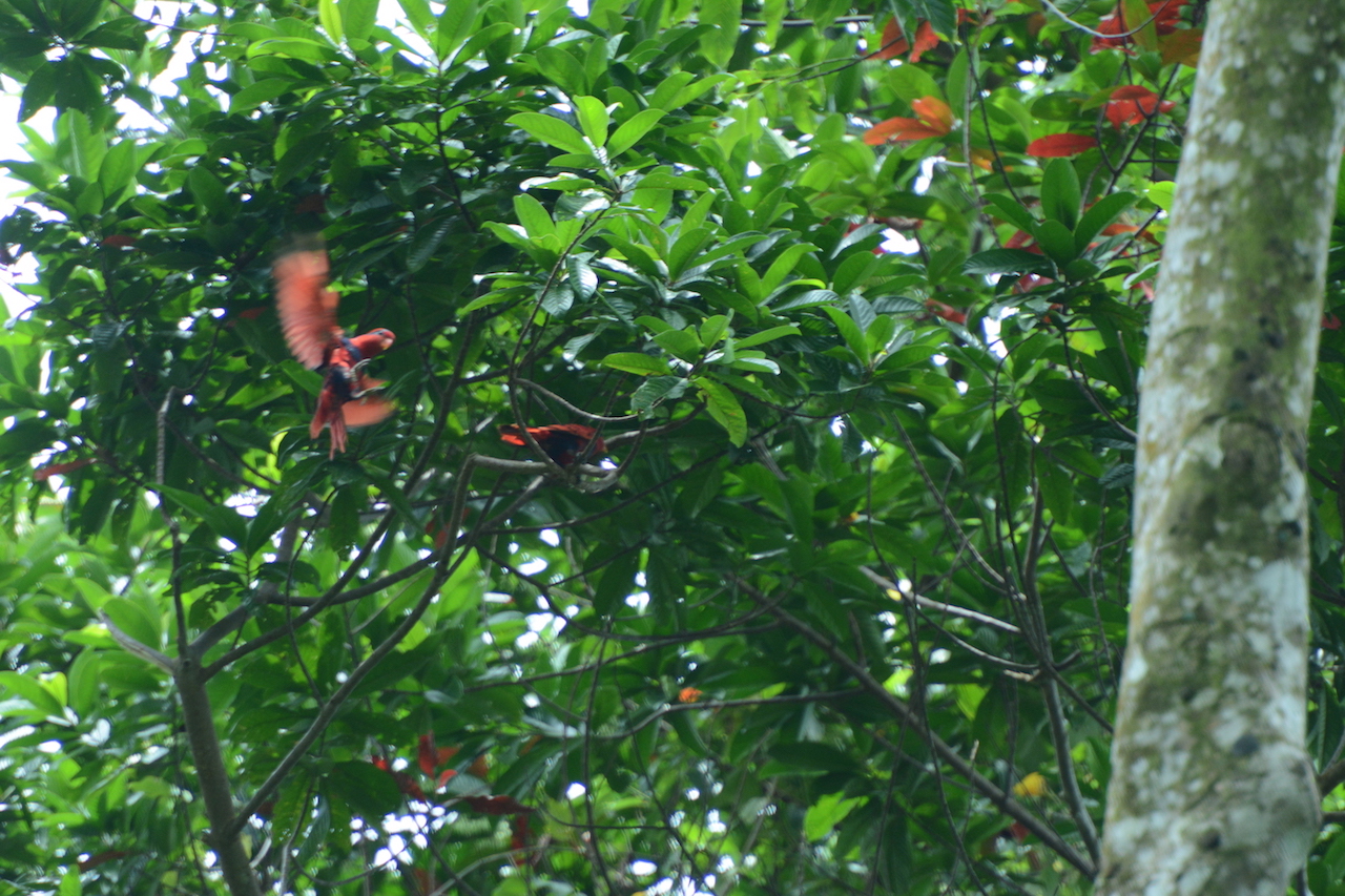 2ANP_0237.JPG