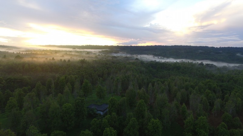 DJI_0005
