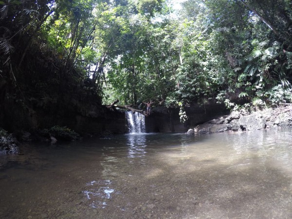 G0042582