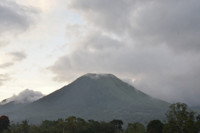 GDE_6196